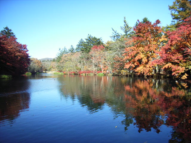 e0177824_29419.jpg