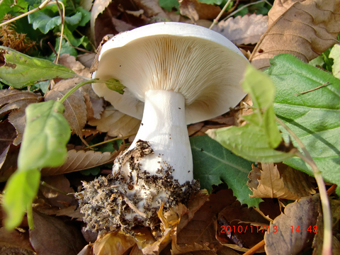 f0020336_19551538.jpg