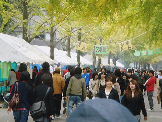 P 7307 鹿児島大学 学祭風景 ６枚 介護政策リンク集