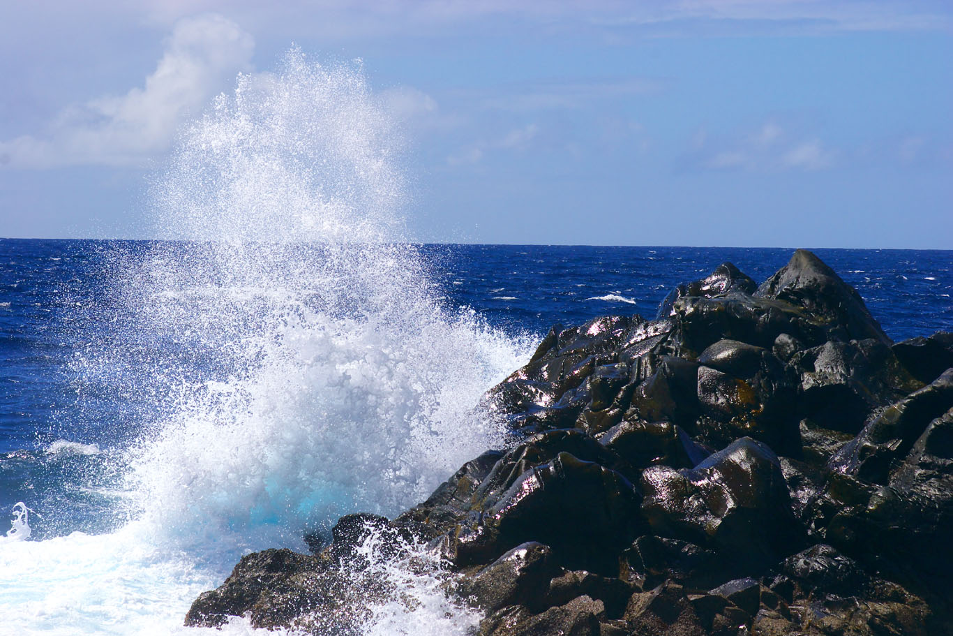 Splash in the late summer._e0022339_10213455.jpg