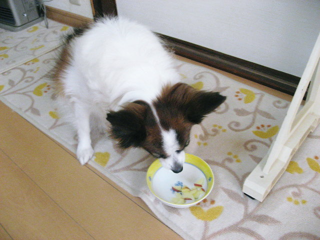 a0149240_94552.jpg