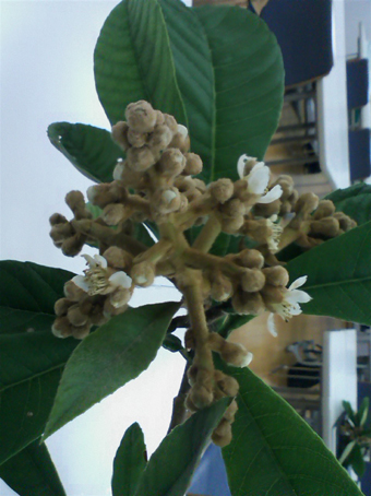 c0206645_20595812.jpg