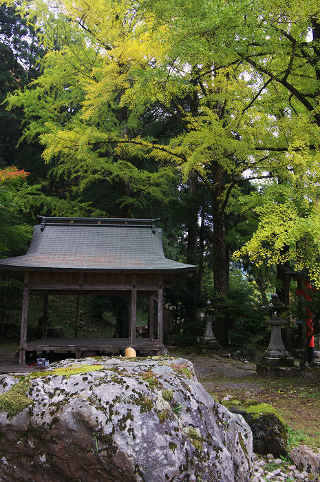 もうすぐ（岩戸落葉神社）_f0155048_051881.jpg