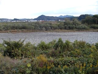 11月9日 涸れた今川を見る会-2_f0197754_0465685.jpg