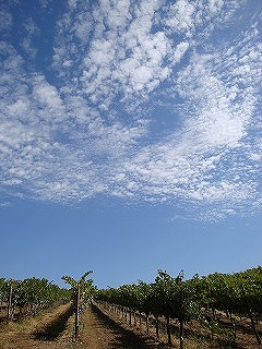 c0185058_32775.jpg