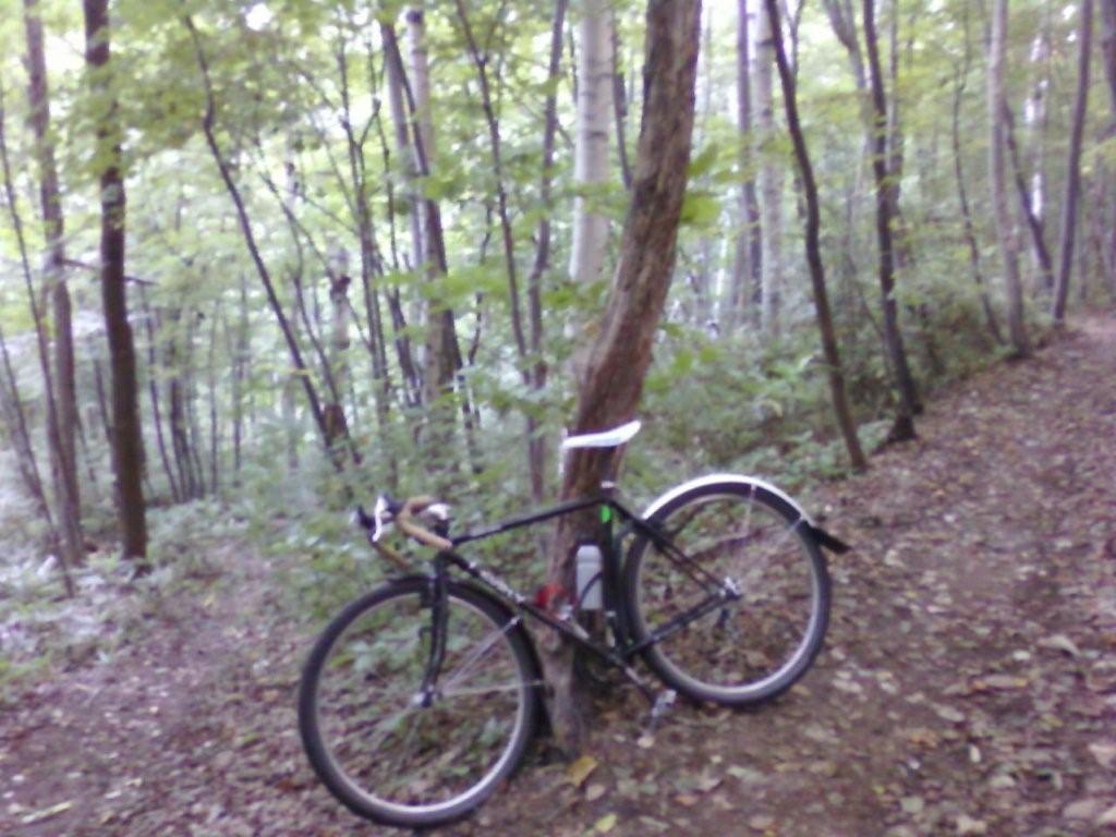 FFF(FattiesFitFine!)、、、か?2010_d0197762_17351462.jpg