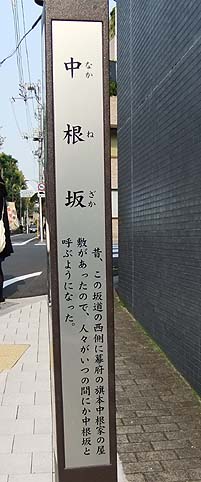 d0080566_102298.jpg