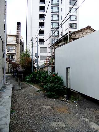 d0080566_1035225.jpg