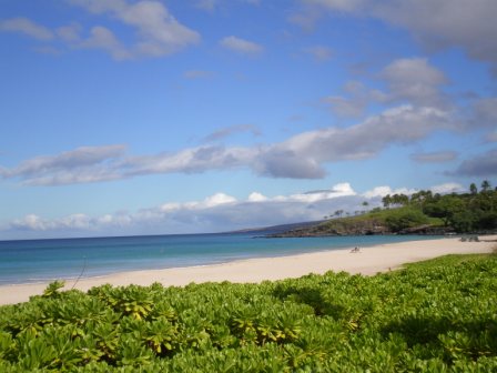 b0038570_2212854.jpg