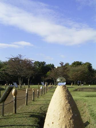 e0126875_1174171.jpg