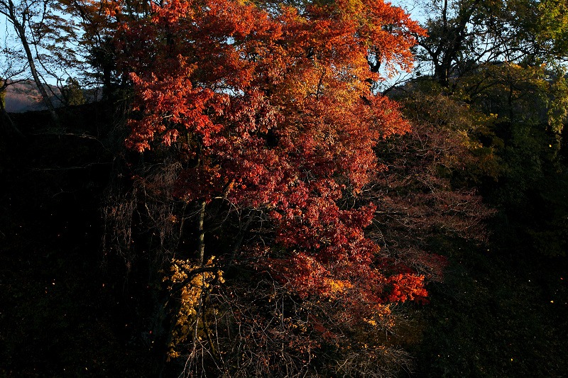 嵐の夜が明け_a0160581_19581233.jpg