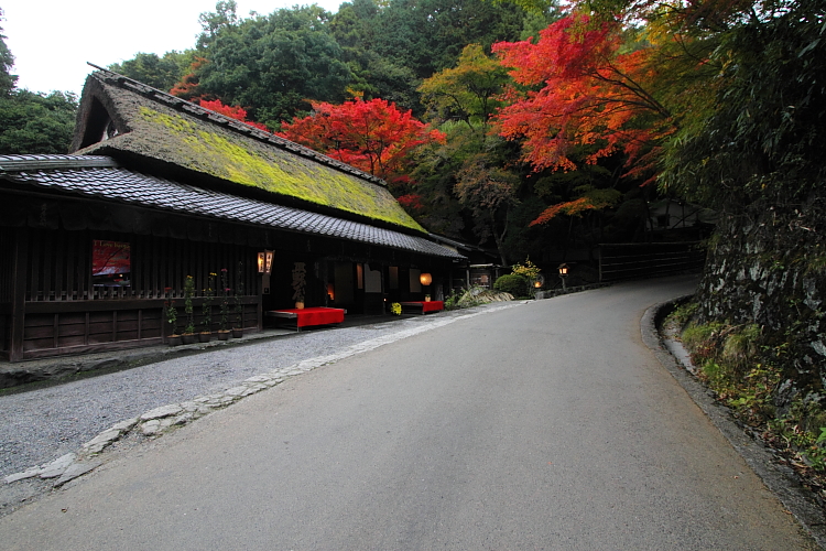 嵯峨鳥居本_e0051888_234449.jpg