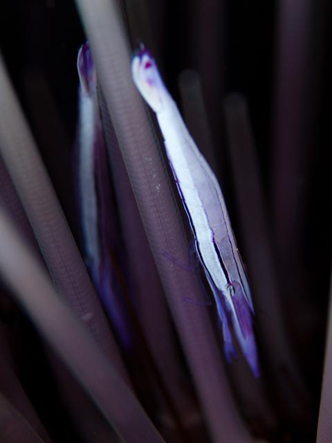 e0064291_9431313.jpg