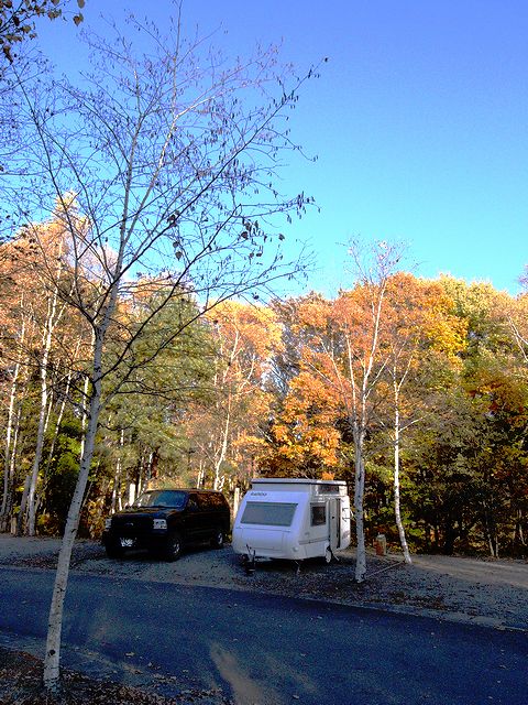 a0093592_1305863.jpg