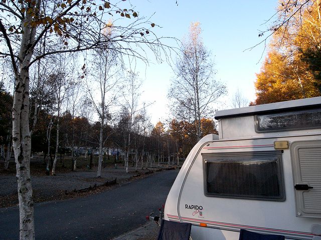 a0093592_1405119.jpg