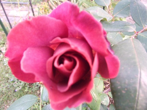 b0207995_2044035.jpg
