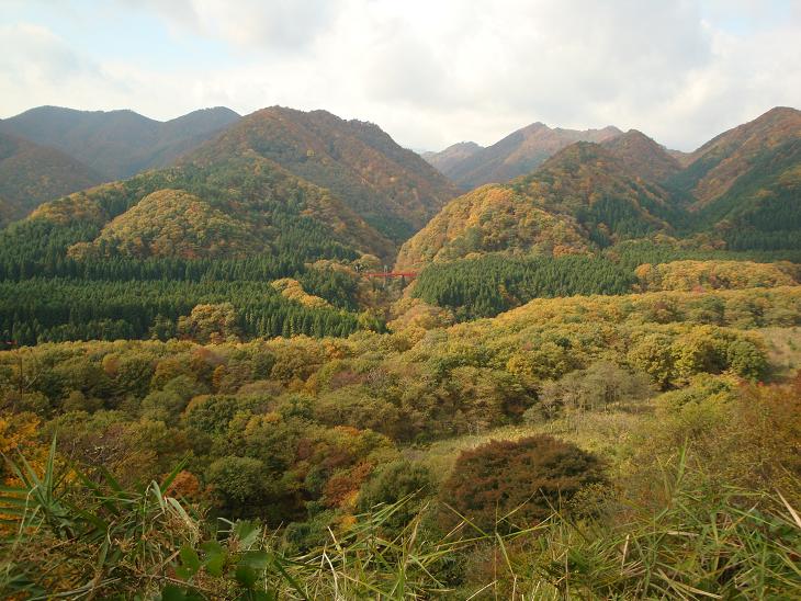 f0075595_11172.jpg