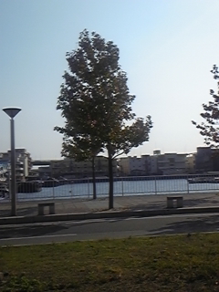 f0017897_23371225.jpg