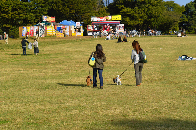 みんなの原っぱ・・・昭和記念公園_d0069398_754918.jpg