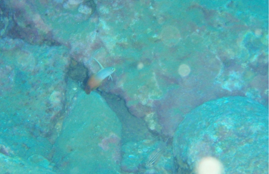 e0115199_16342343.jpg
