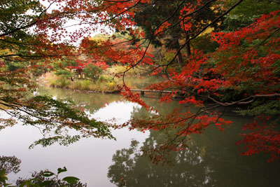 木津川の寺巡り~岩船寺&浄瑠璃寺~_d0090101_15462951.jpg