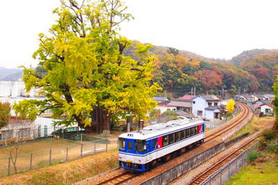 佐用の大イチョウ_d0090101_1552324.jpg