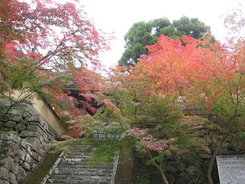 今が見頃_f0040201_15504325.jpg