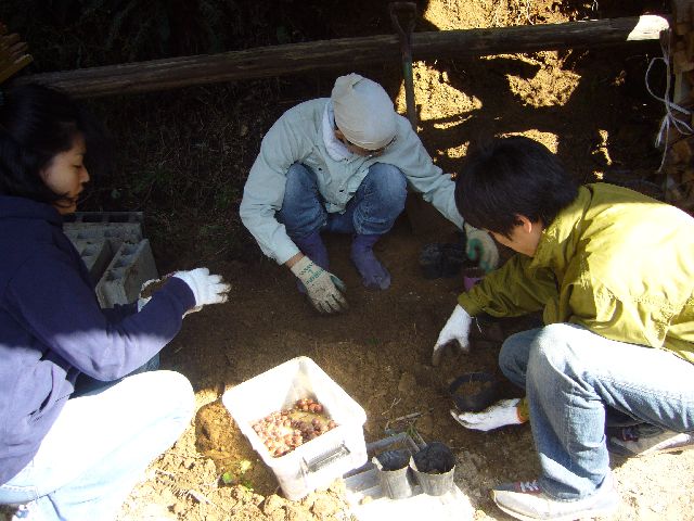 e0032609_01917.jpg