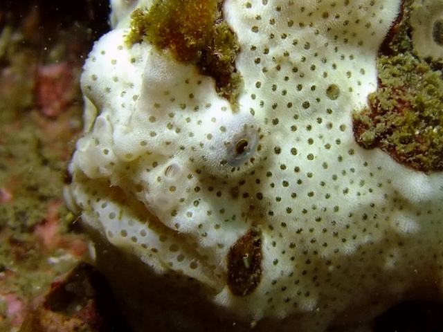 d0175710_10314216.jpg