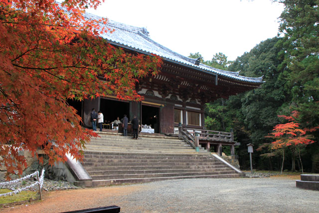 神護寺3 金堂あたり_e0048413_2144193.jpg