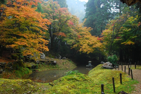 紅葉　－　常照皇寺（じょうしょうこうじ）_a0114714_20511145.jpg