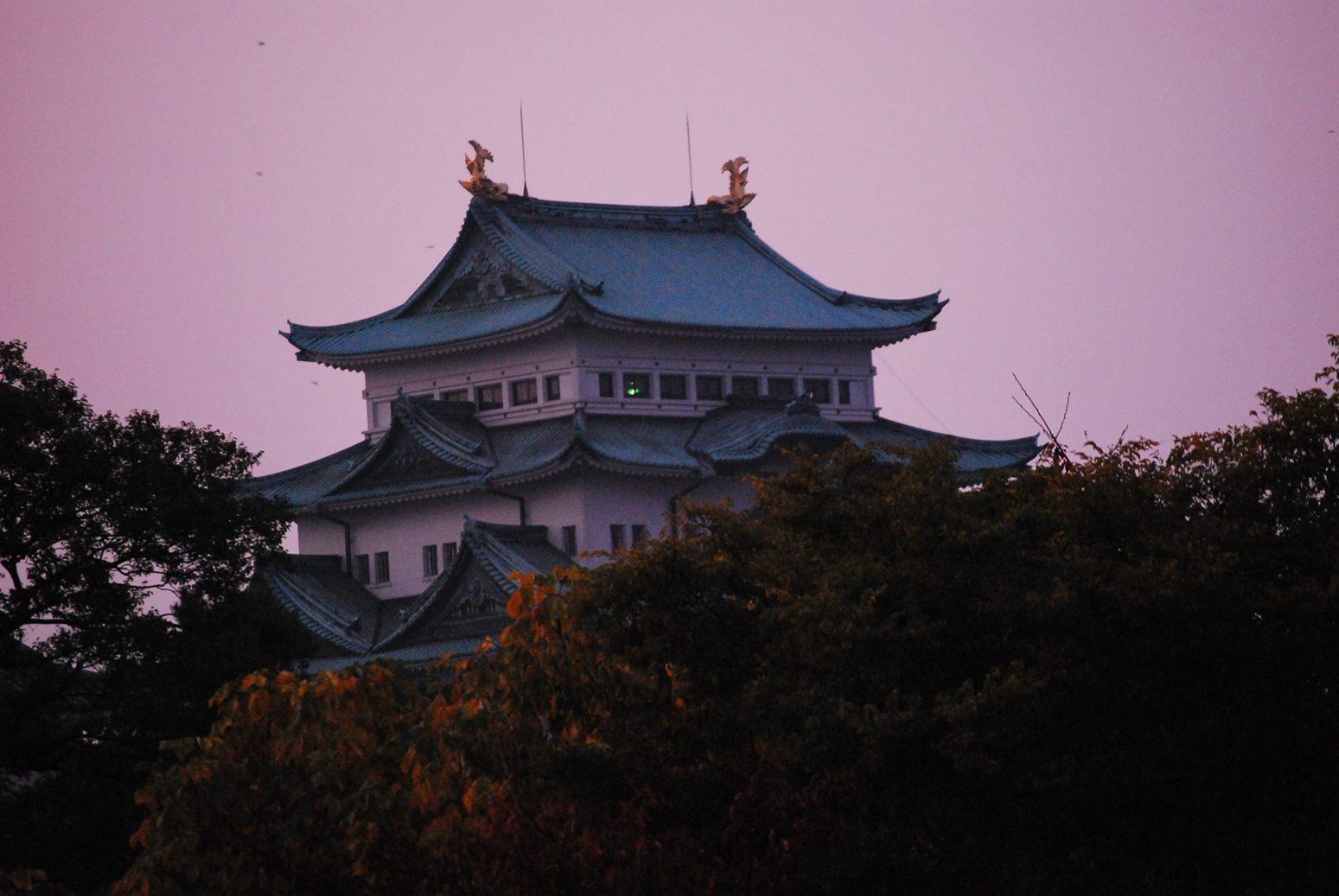b0165317_21353439.jpg