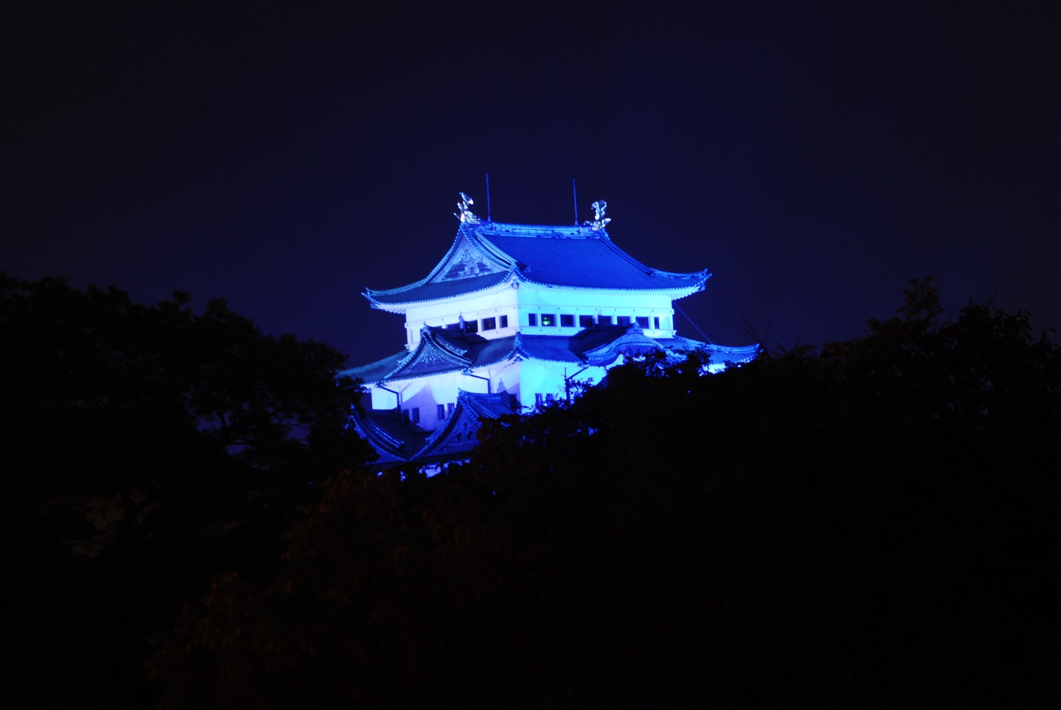 b0165317_21354875.jpg