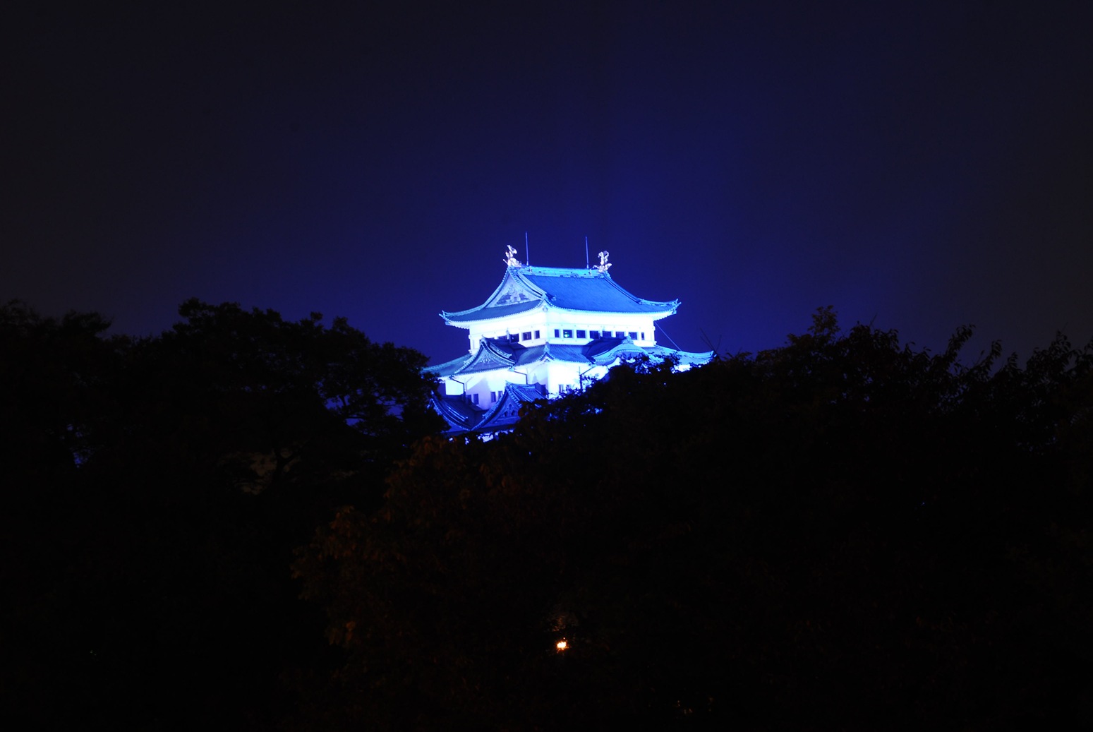 b0165317_2136129.jpg
