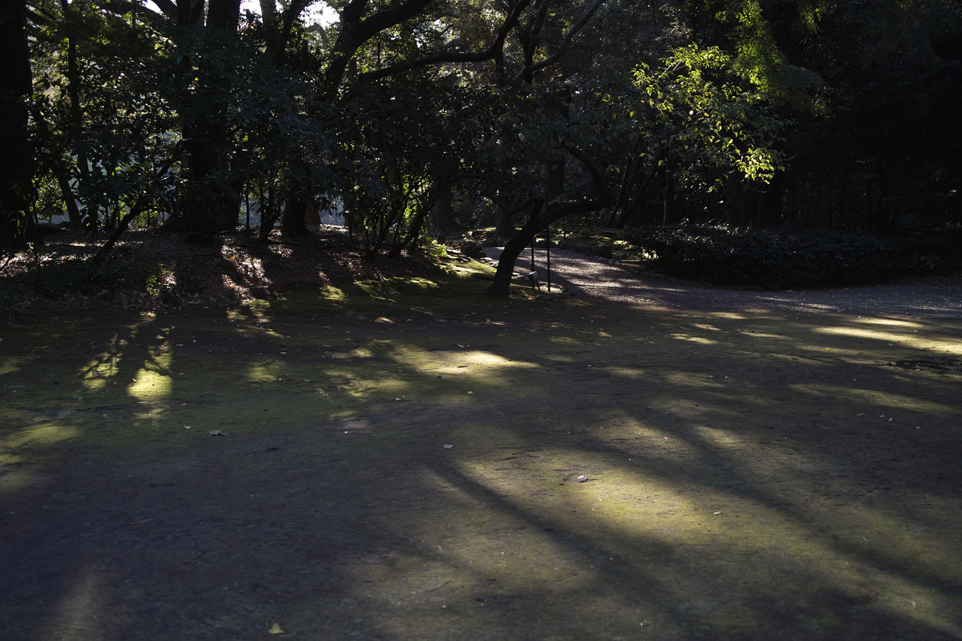 c0213117_1362875.jpg