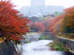 “次の世代につなぎます”_f0205317_16145453.jpg