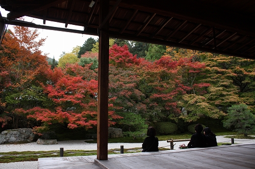 紅葉偵察　南禅寺塔頭　天授庵へ♪_f0054428_032712.jpg