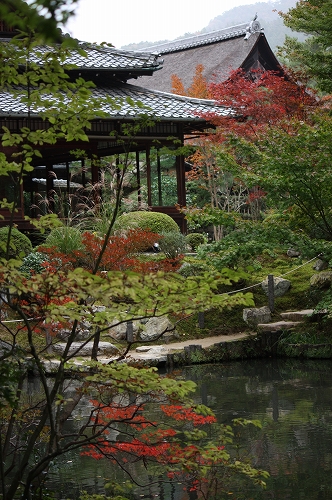 紅葉偵察　南禅寺塔頭　天授庵へ♪_f0054428_055827.jpg