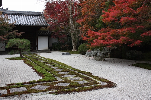 紅葉偵察　南禅寺塔頭　天授庵へ♪_f0054428_111784.jpg