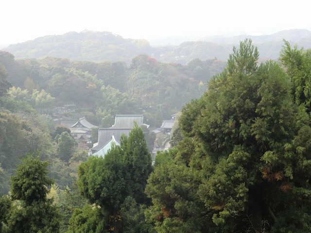 a0006033_1411913.jpg