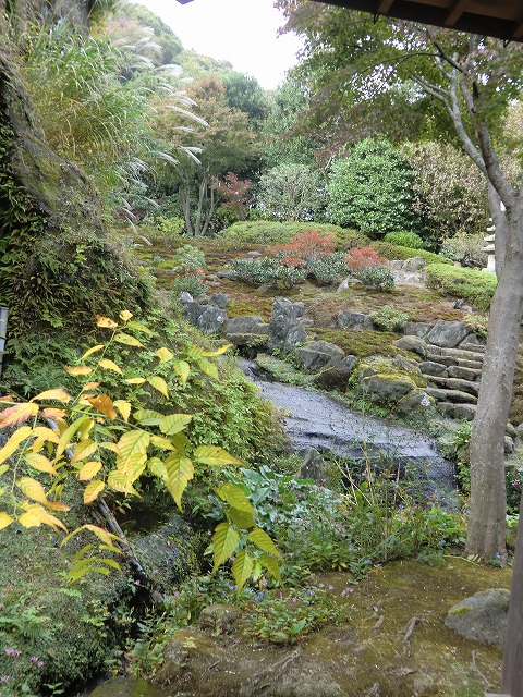 a0006033_1453785.jpg