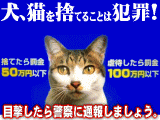 見つめる先は？_d0043935_20342565.gif