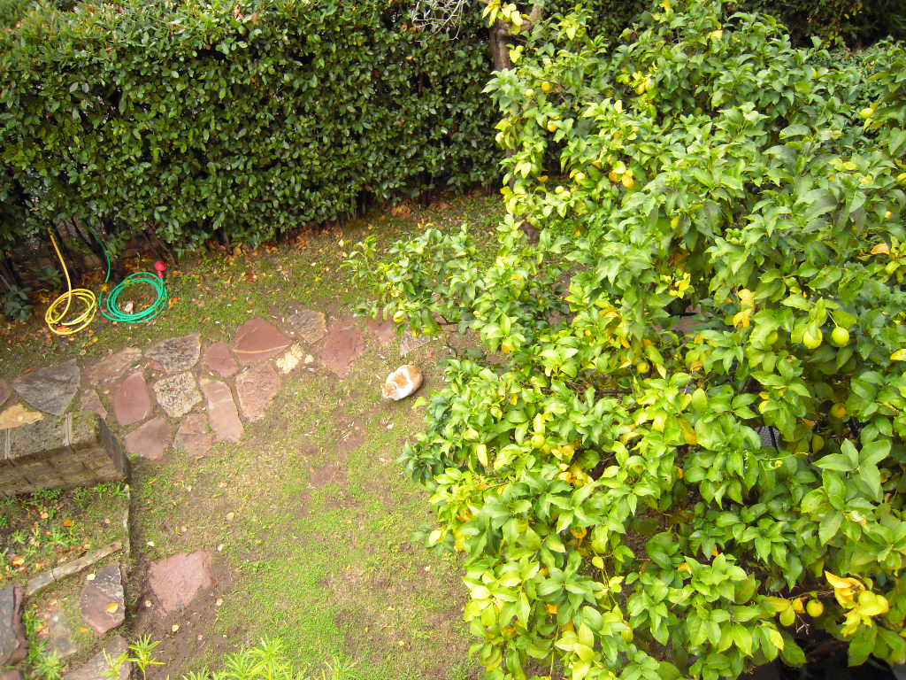 d0170140_285639.jpg