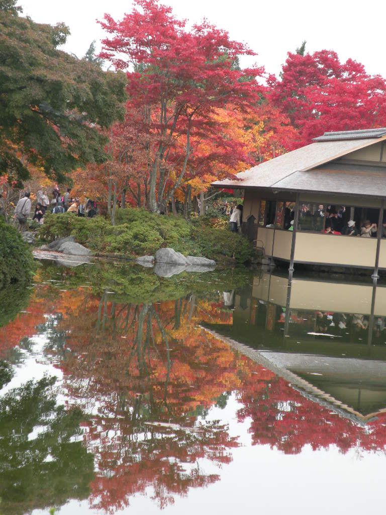 １１月１４日　　昭和記念公園です。_f0117041_17581913.jpg