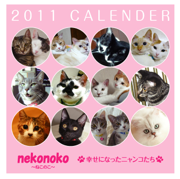 cat care house 「2011年オリジナルカレンダー販売！」_b0024945_21461932.jpg