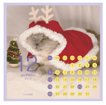 cat care house 「2011年オリジナルカレンダー販売！」_b0024945_2146389.jpg
