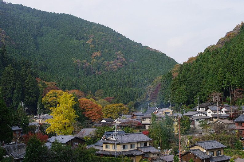 京都の紅葉2010 ~叡山電車・二ノ瀬駅~ と..._f0152550_22152718.jpg
