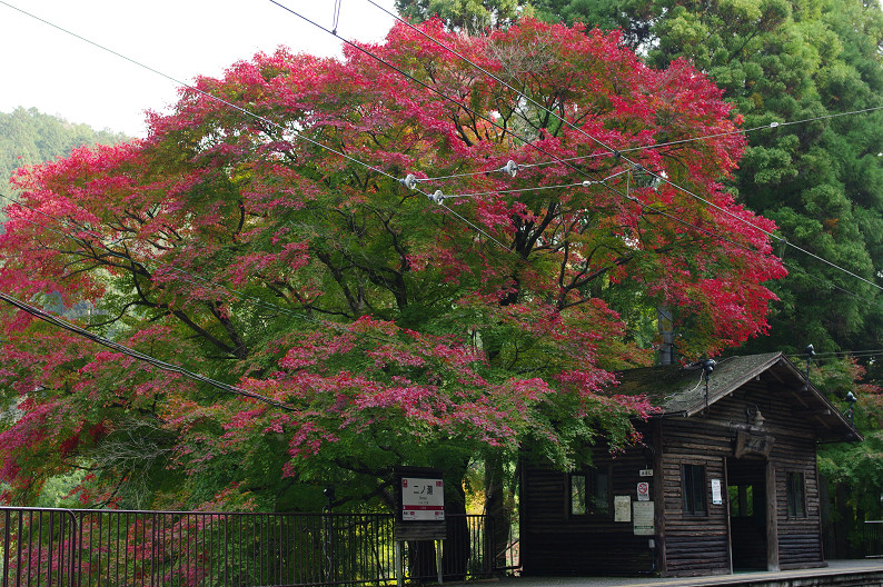 京都の紅葉2010 ~叡山電車・二ノ瀬駅~ と..._f0152550_22153468.jpg