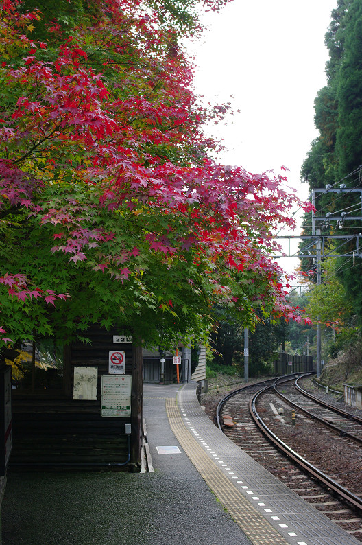 京都の紅葉2010 ~叡山電車・二ノ瀬駅~ と..._f0152550_22154477.jpg