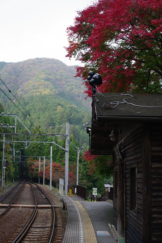 京都の紅葉2010 ~叡山電車・二ノ瀬駅~ と..._f0152550_22155433.jpg